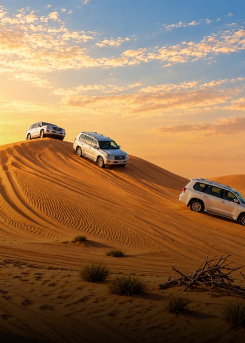 image-desert-safari-in dubai