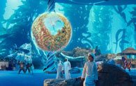 Sea World Aquarium